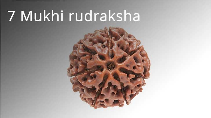 Rudraksha